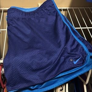 Nike Royal Blue Mesh Shorts